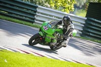brands-hatch-photographs;brands-no-limits-trackday;cadwell-trackday-photographs;enduro-digital-images;event-digital-images;eventdigitalimages;no-limits-trackdays;peter-wileman-photography;racing-digital-images;trackday-digital-images;trackday-photos